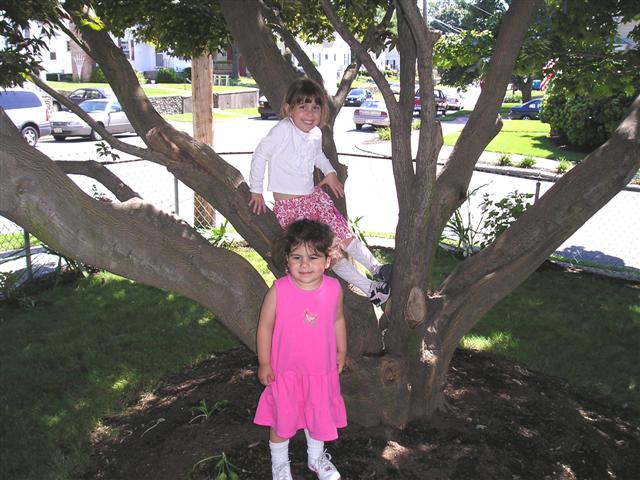 P8220028 (Small).JPG